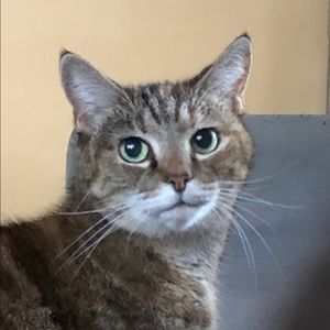 Meet your Posher, Alan